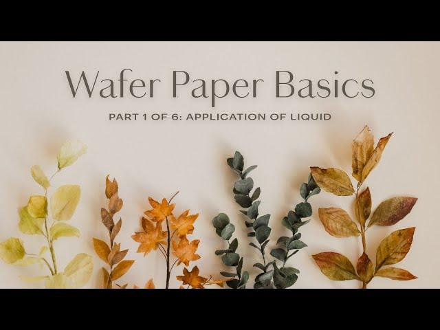 Wafer Paper Flowers Basics for Beginners (Part 1/6)