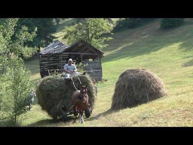 Romania, Transylvania Hay Camp 2015 Part 3