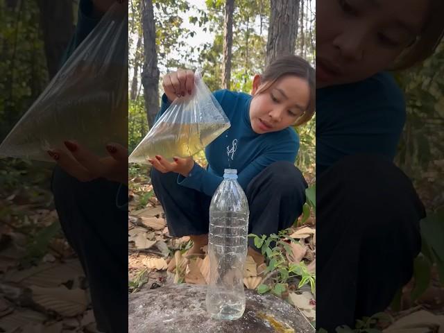 Survival Skills- easy methood saving water transfer to bottle #camping #bushcraft#water #smart