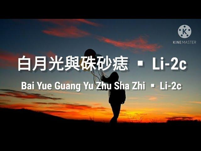 白月光與碟砂痣 Bai Yue Guang Yu Zhu Sha Zhi 《Li-2c》pinyin Lyrics