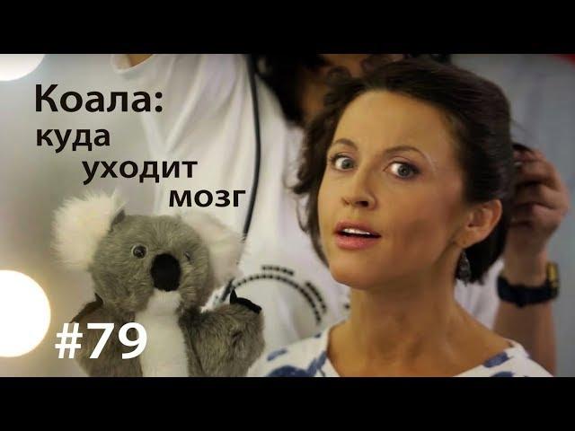 Коала: куда уходит мозг // Всё как у зверей #79