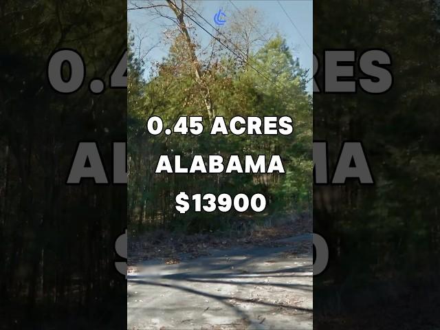 0.45 Acres with road access for Sale in Birmingham Alabama for $13,900 #land #property #shorts #fyp