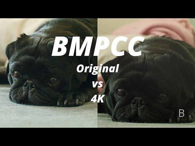 Original BMPCC vs BMPCC4K | Blind Test