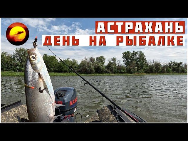 Рыбалка! ПОЙМАТЬ ЗА ОДИН ДЕНЬ / РАЗНОРЫБИЦА в Астрахани