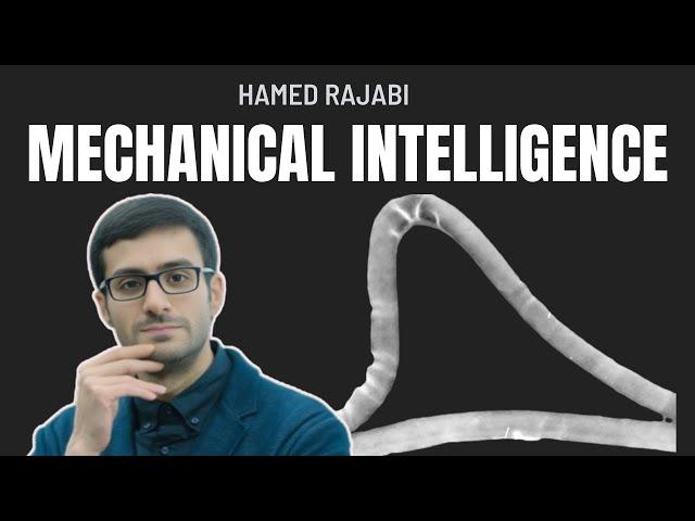 Hamed Rajabi; mechanical intelligence, insect wings, metamaterial, crack deflection, Marwa ElDiwiny