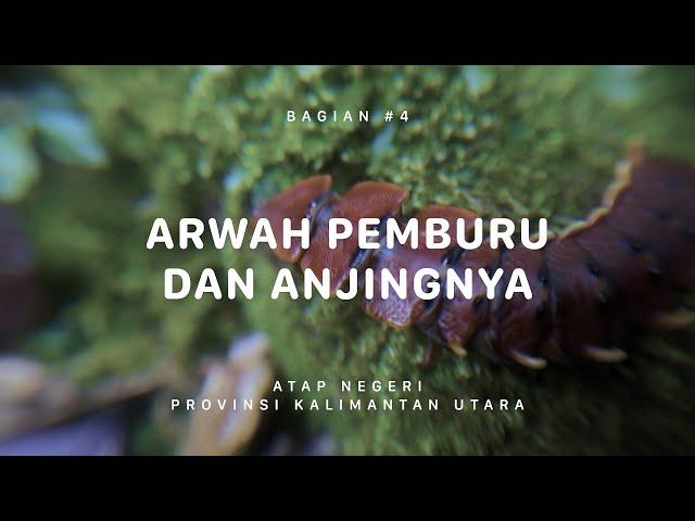 GUNUNG HARUN - Atap Negeri Kalimantan Utara #4