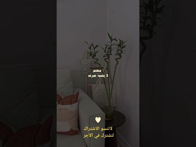 اطمئن فإن الله معك#الصلاة #المدينة_المنورة #️ #اشتراك