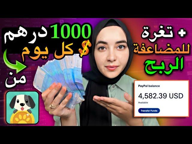 الربح من تطبيق lovely pet ربحت منه 100 دولار في اليوم + استراتيجية سرية للمضاعفة الربح من التطبيق 