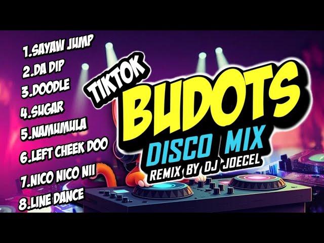 TIKTOK BUDOTS DISCO MIX 2024 (DJ JOECEL EXCLUSIVE)