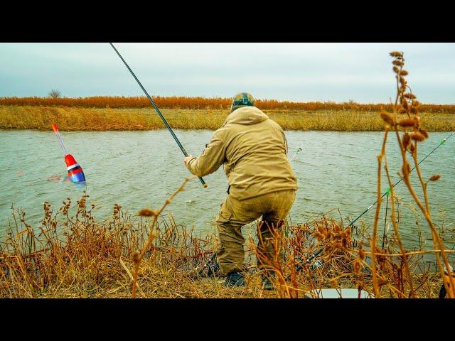 РЕЧКА МАЛЕНЬКАЯ А ЛОВИТСЯ ТОЛЬКО КРУПНЯК! ЕЛЕ УСПЕВАЮ ПОДСЕКАТЬ! РЫБАЛКА НА ПОПЛАВОК И ДОНКИ 2024!