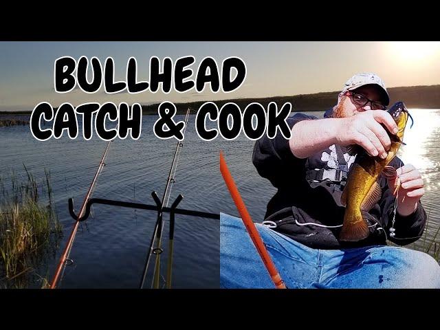 Bullhead Fishing Catch & Cook