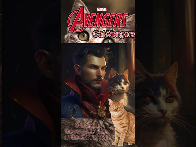 DR STRANGE CATVENGERS