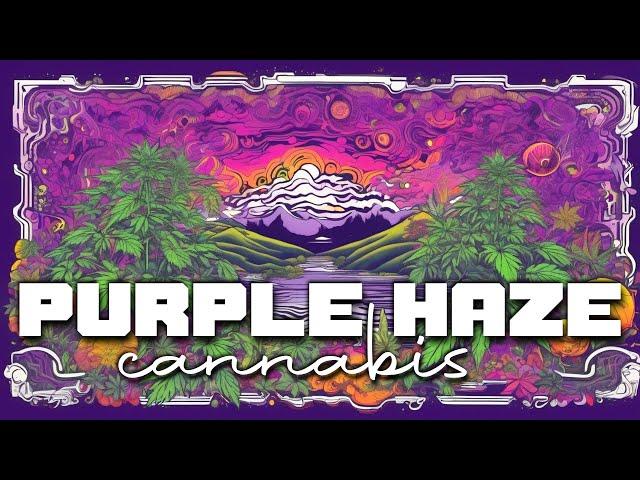 Purple Haze CBD Sativa Cannabis Background Music For Body & Mind Deep Relax