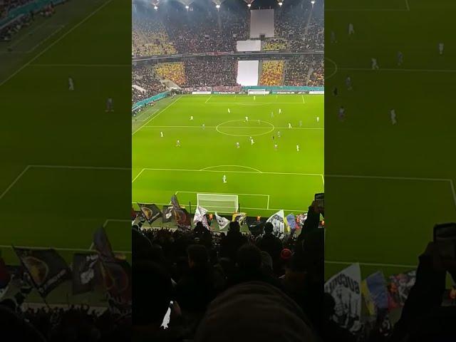 FCSB fans vs Olympiacos + Crvena Zvezda fans. INCREDIBLE Show  UEFA Europa League 28.11.2024