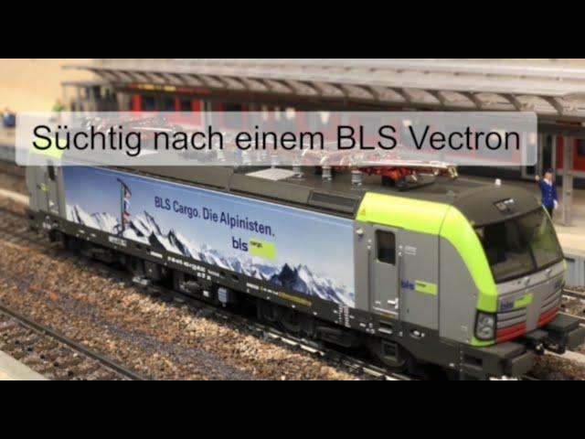 Märklin H0 Anlage Klais - Rocos Vectron BLS „The Alpinist“ endlich da