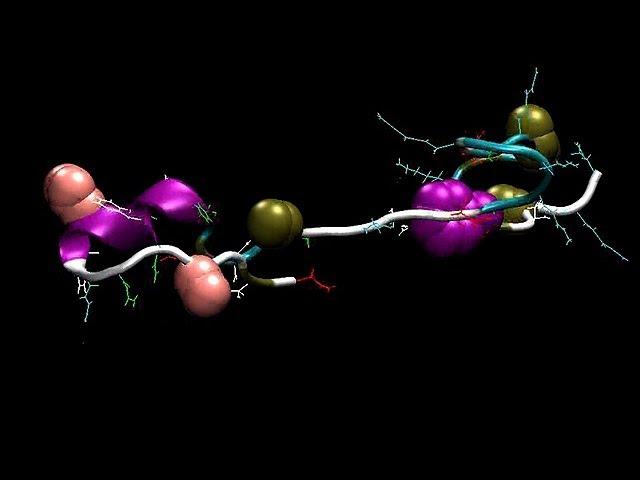 Simulating How Proteins Self-Assemble, Or Fold