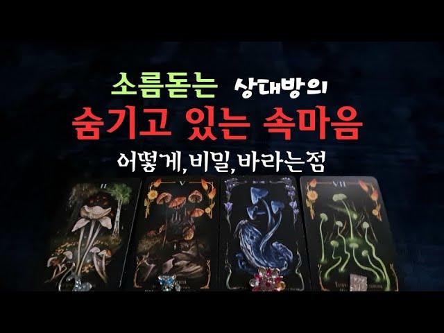 [타로속마음] 나에게 숨기고 있는 속마음,어떻게,왜 비밀,원하는점 #타로 #속마음 #재회