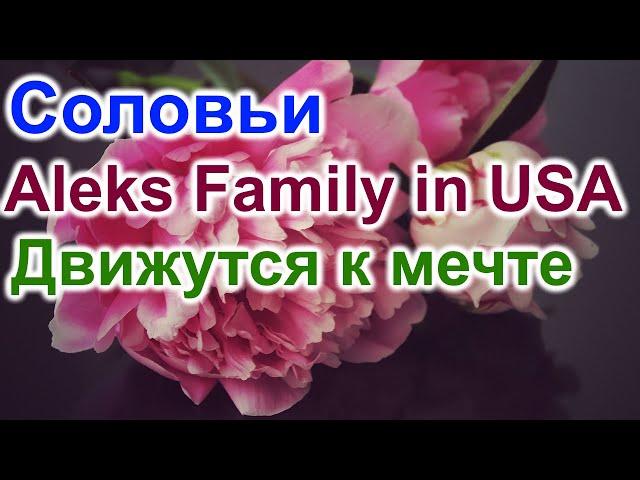 Соловьи. Aleks Family in USA. Движутся к мечте