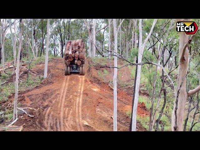 Extreme Dangerous Fastest Big Chainsaw Cutting Tree Machines | Biggest Heavy Equipment Machines #6