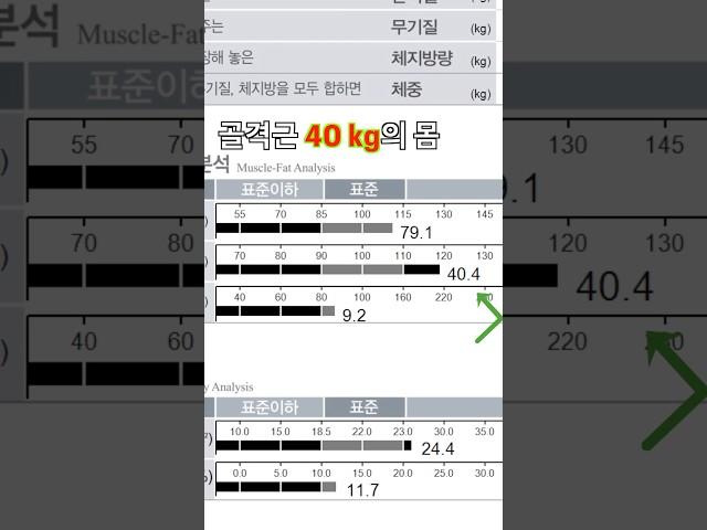 골격근량 40Kg의 몸은