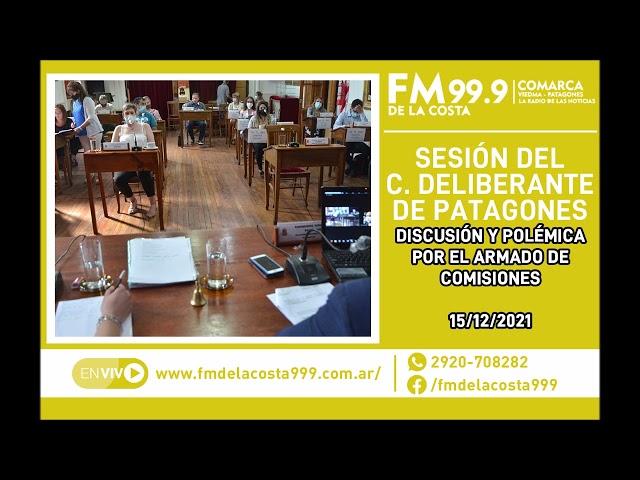 Debate de Concejo Deliberante de Patagones por Fiscal Impositiva y armado de Comisiones - 15/12/2021