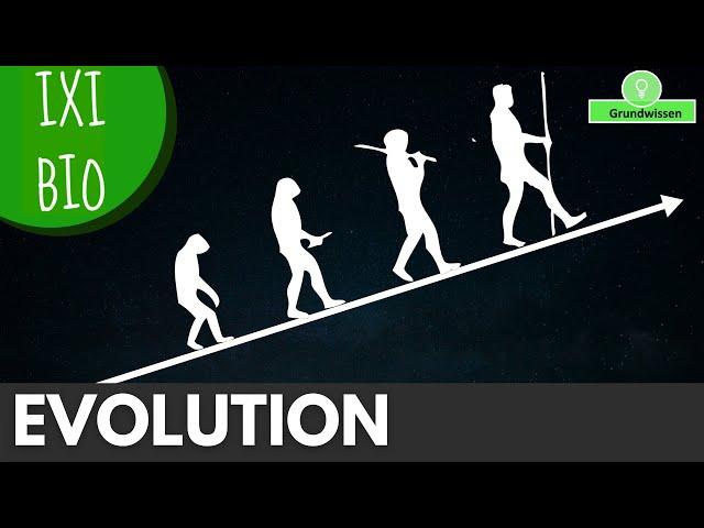 Überblick zur Evolution - Abiturwissen "Sehr empfehlenswert" - von meinem Schüler Jakob - BioAbi