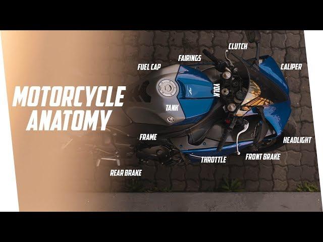 Sport Bike Anatomy - 60 Motorcycle Part Names