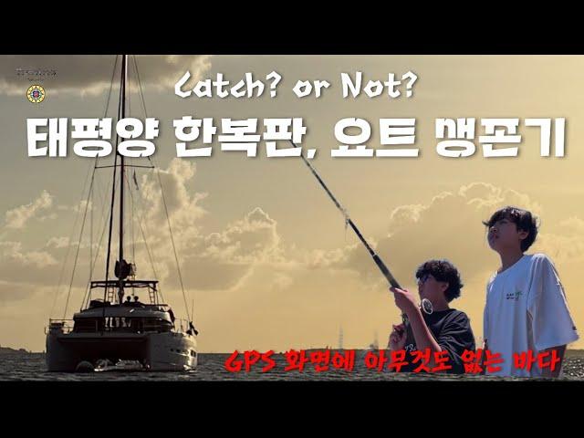 태평양 한가운데서 살아남기ㅣ이게 진짜 요트 라이프입니다ㅣ요트에서 자고, 먹고, 낚고...다 해봤습니다ㅣPacific Yacht Life: Catch, Cook, Sail! #199