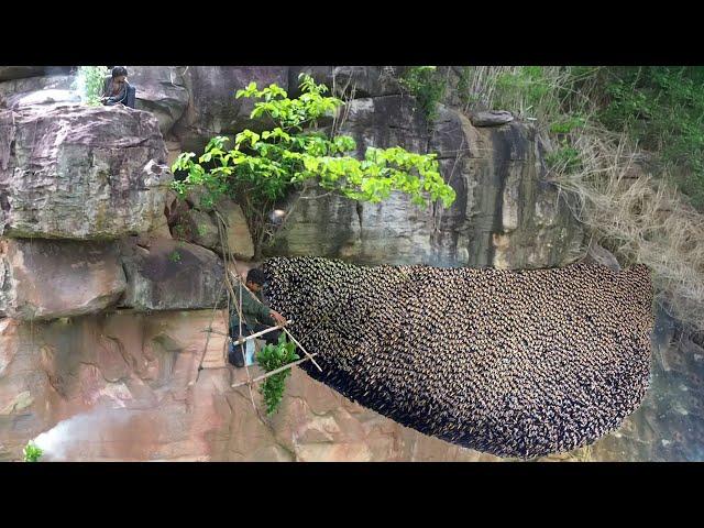 Primitive Technology Amazing Billionaire Skill! Found Giant HoneyBee For Food In The Mountain Forest