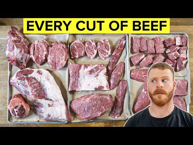 Beef 101: The Beginner's Guide to Every Cut of Beef