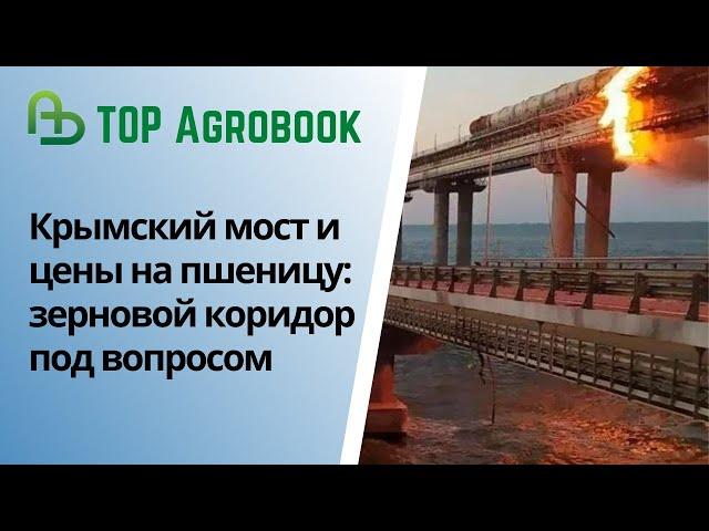 Крымский мост и цены на пшеницу: зерновой коридор под вопросом. TOP Agrobook: обзор агроновостей