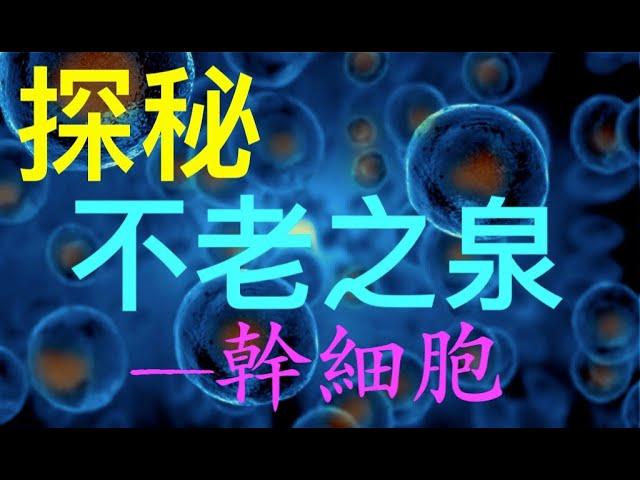 激活幹細胞，延緩衰老、等待著長壽新技術的到來！