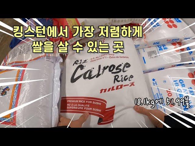 킹스턴에서 가장 저렴하게 쌀을 파는 곳 / Wholesale Club