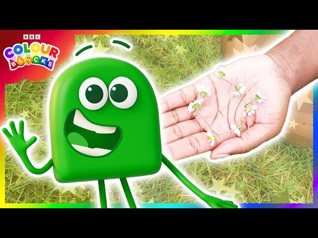  Making Daisy Chains with Colourblock Green 🟢 | Camp YouTube | Colours for Kids | @colourblocks