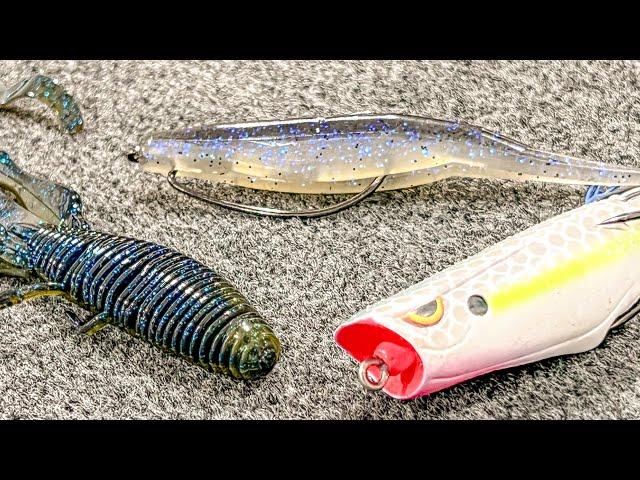 Top 5 Baits For Pond Fishing!