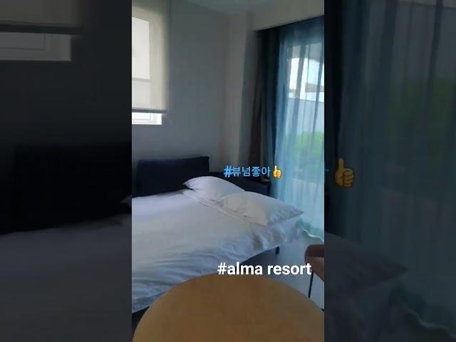 #リゾート #alma resort #Vietnam #알마리조트 #풀뷰룸 #베트남여행 #나트랑여행 #3bedeoom #나짱 #shorts