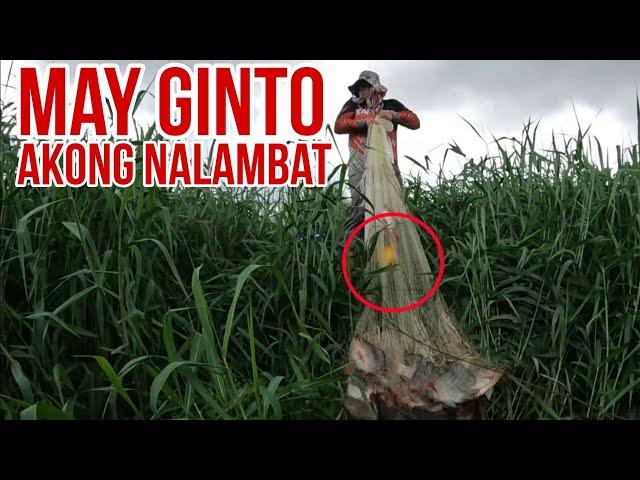 May Ginto akong Nalambat sa Nakatagong Spot