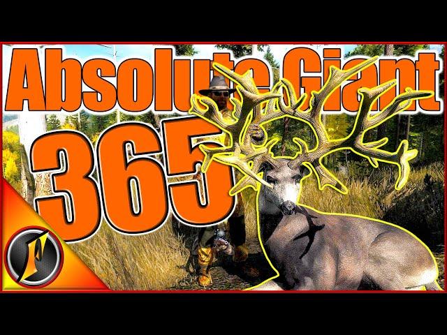 GIANT NONTYPICAL Mule Deer Buck! | Our Biggest Ever in theHunter Classic!