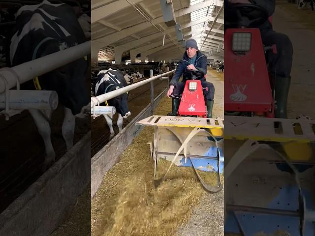 Incredible feed cutter #farm #cows #feed