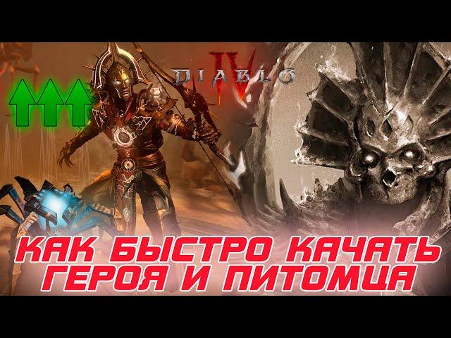 Diablo 4 - Как быстро качаться в 3-м сезоне самого героя и так же быстро питомцев (все его навыки)