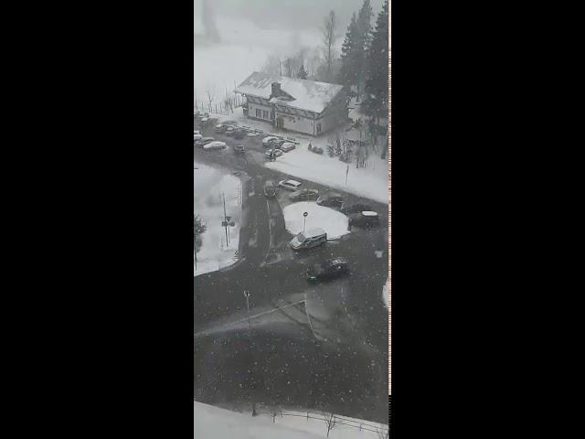 Снежок пришел в Краснознаменск!