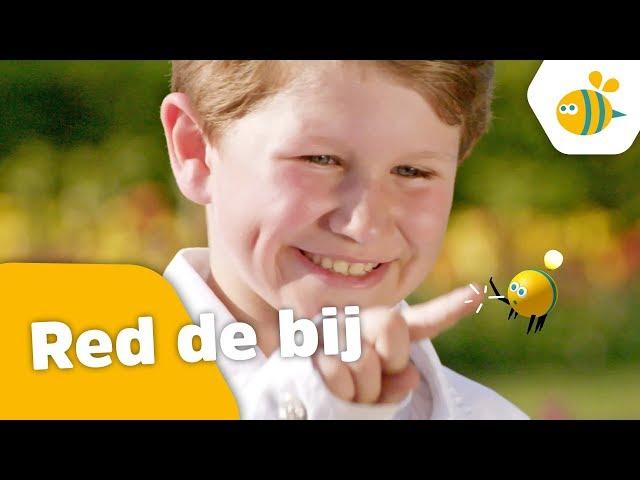 Kinderen voor Kinderen - Red de bij (Officiële videoclip)