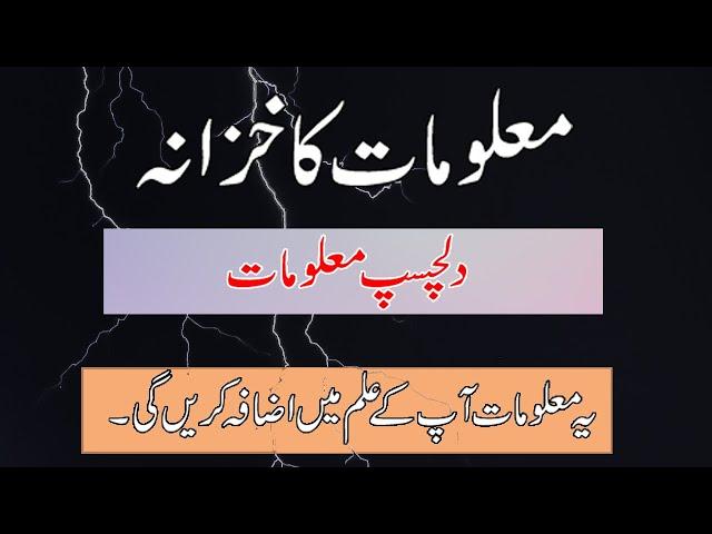 Interesting General Knowledge in urdu/hindi | Dilchasp Maloomat ka khazana in urdu |