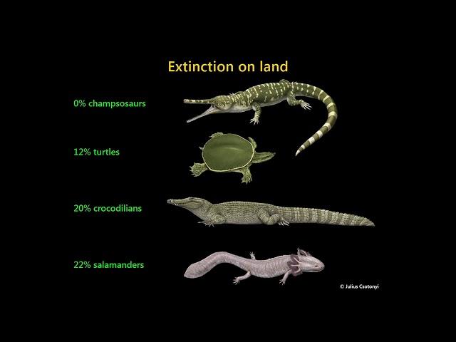 The Cretaceous-Palaeogene Mass Extinction: What Do We Really Know?