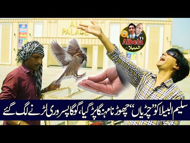 Sellers of SADQA Birds Goga Pasroori start New work and Saleem Albela as a customer Albela Tv