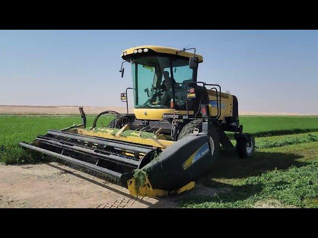 Mowing alfalfa hay with newholland