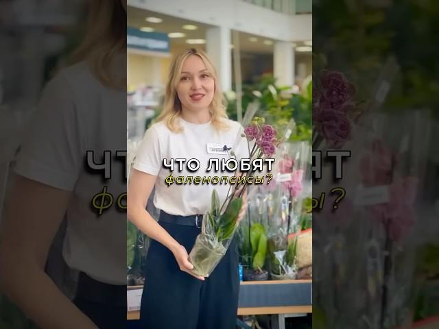 Секреты ухода за фаленопсисами #орхидеи #орхомания #комнатныерастения #цветынаподоконнике #садоводы