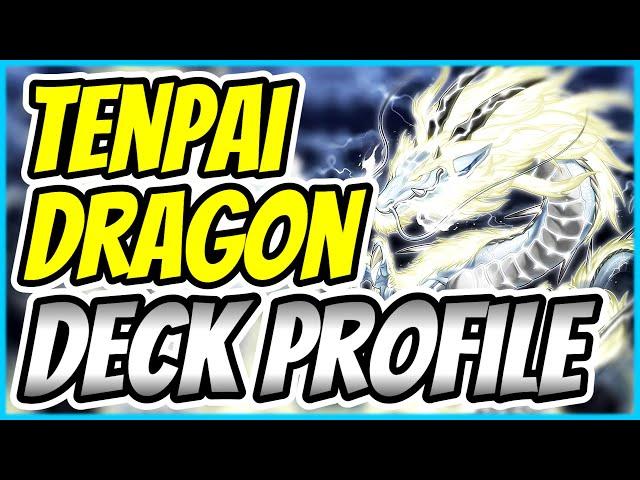 Das NEUE und BESTE Deck? | TENPAI DRAGON | Deck Profile + Combo | Yu-Gi-Oh!