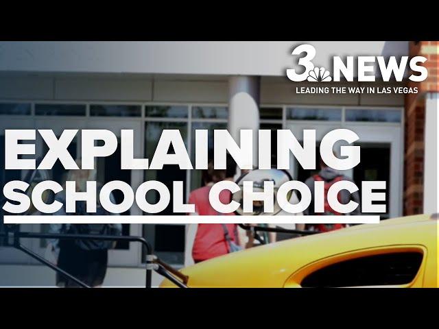 What is school choice and why was it on the ballot?