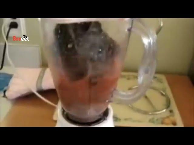 Cat in blender real story behind it was this video is fake or real | china incident cat blended